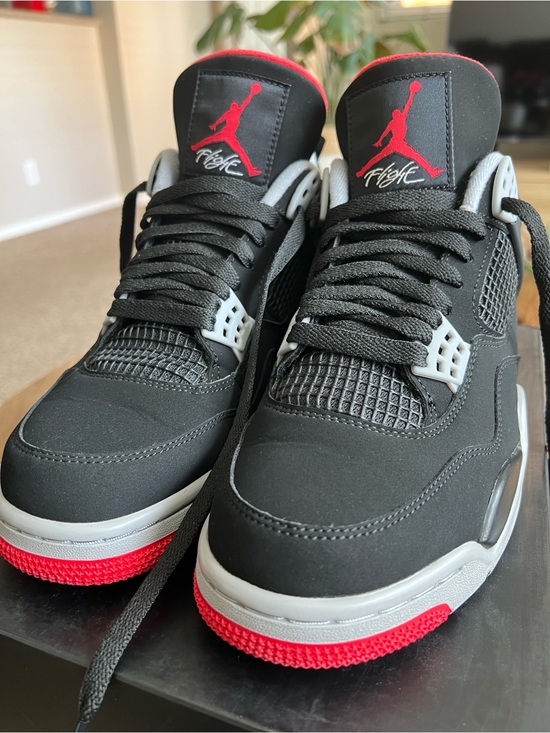Jordan Other - Nike Air Jordan 4 Retro “Bred” 2019 release